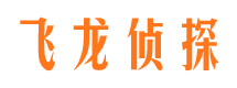 龙子湖市婚外情取证